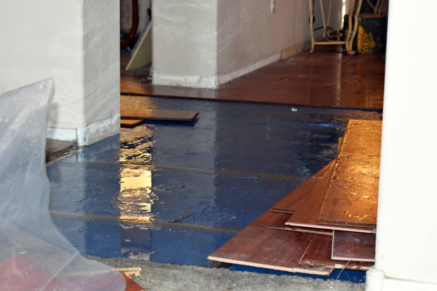 Professional Basement Flood Cleanup technician working in Williamsburg, MO